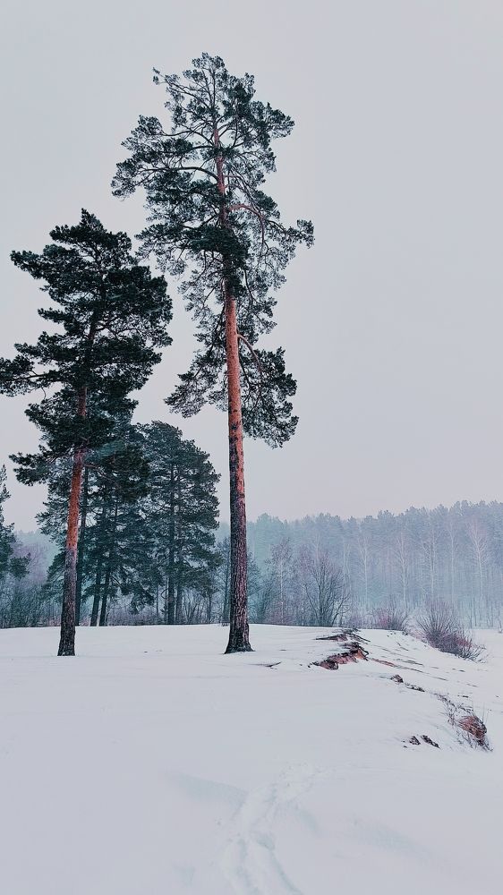 Photograph by Татьяна Пятернёва