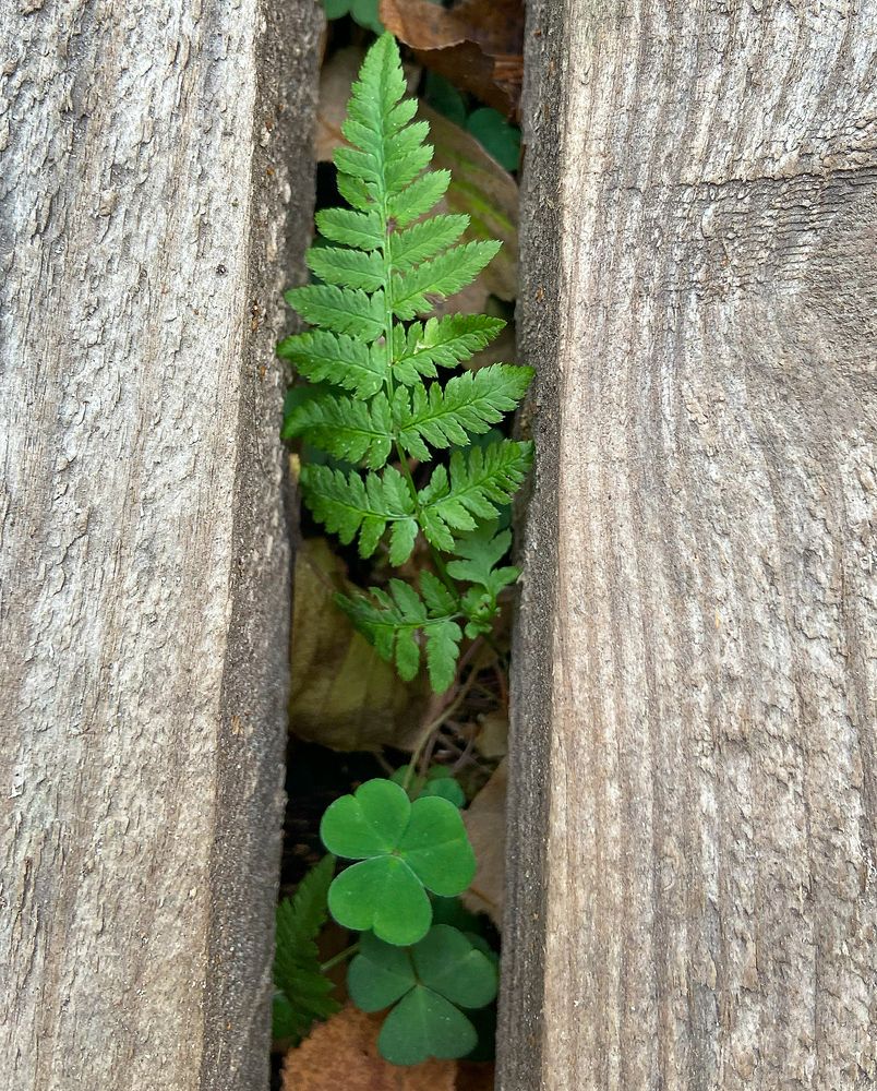 Photograph by Ольга Потачева