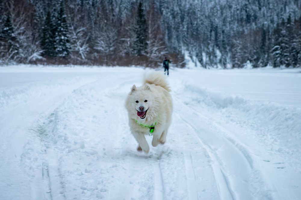 Photograph by Старцев Андрей
