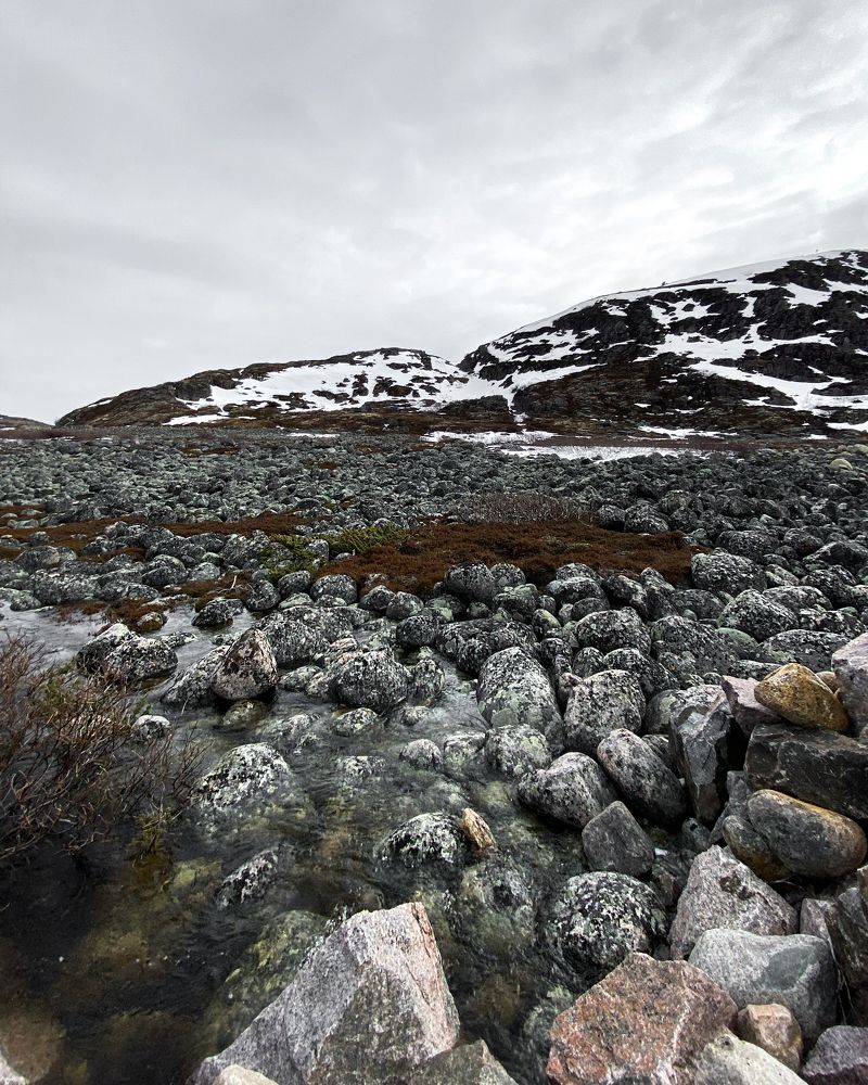 Photograph by Оливия Таль