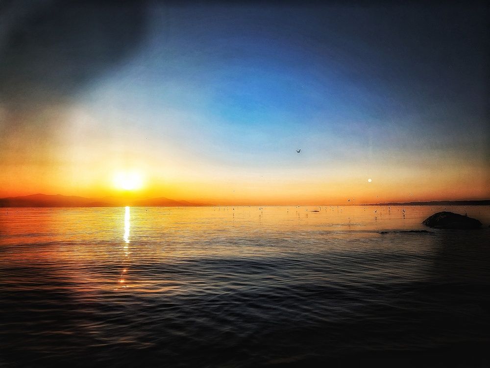 Photograph by Irina Bagdasarova