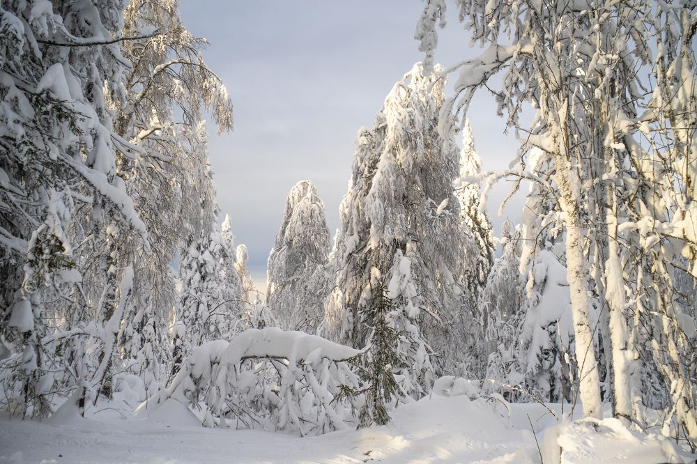 Фотография автора Рыболов Андрей