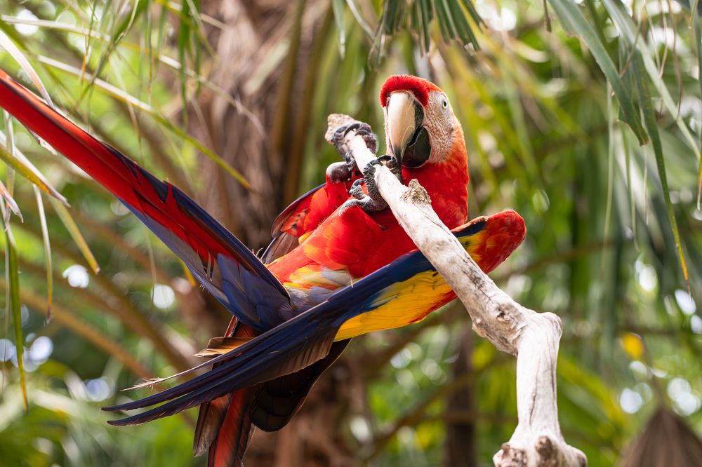 Фотография автора Мария Сурмачева