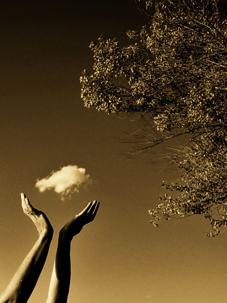 Photograph by Laurent Barrera