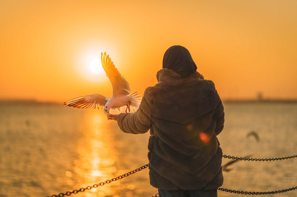 Connection made by patience