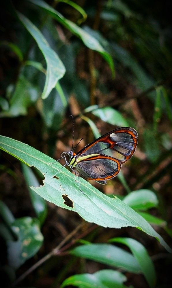 Photograph by Gr Marie