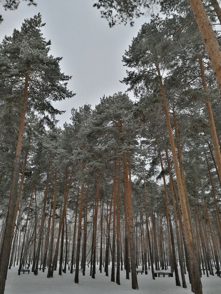 Photograph by Наталия