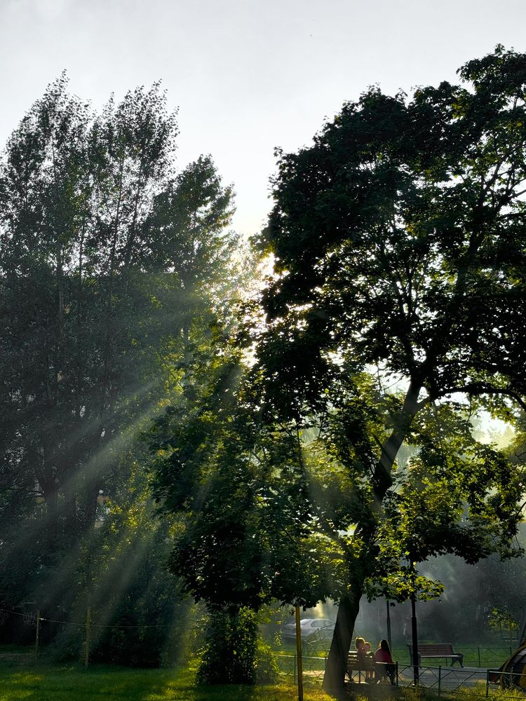 Photograph by Оливия Таль