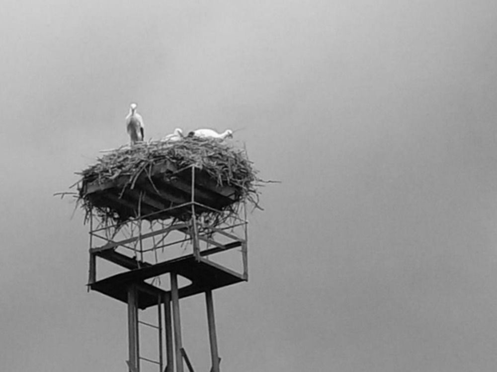 Фотография автора Ирина Дроздова