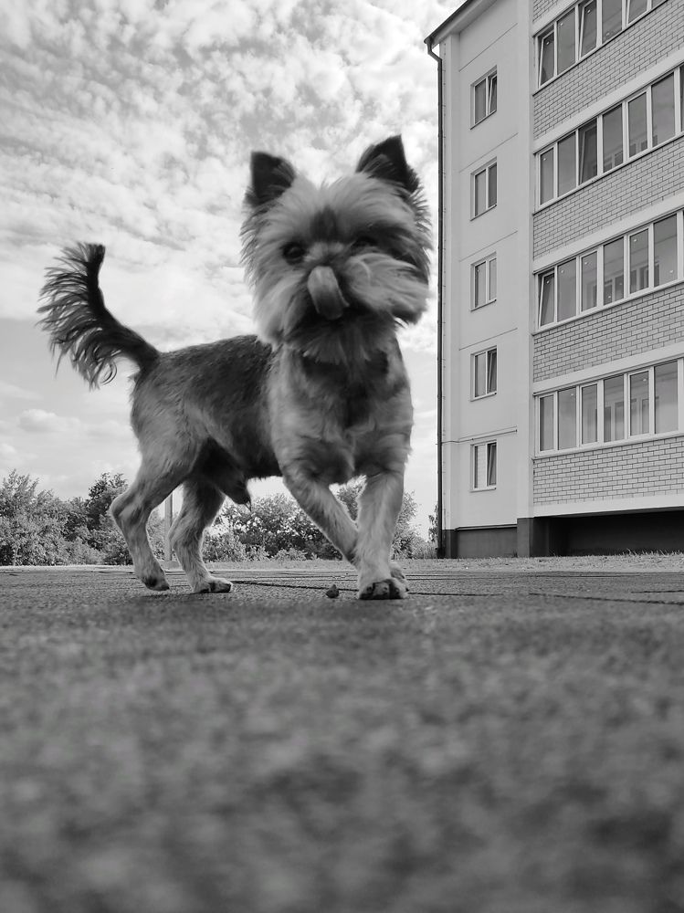Photograph by Наталья Швед