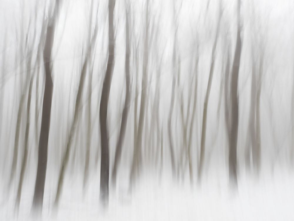 Photograph by Andras Horvath