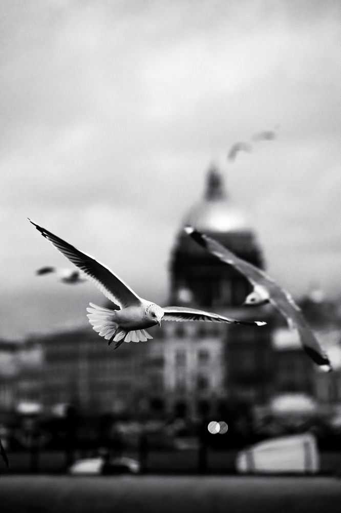 Питерский вайб.