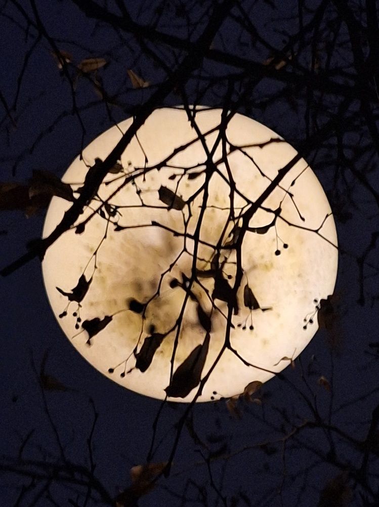 Photograph by Ольга Мольдон