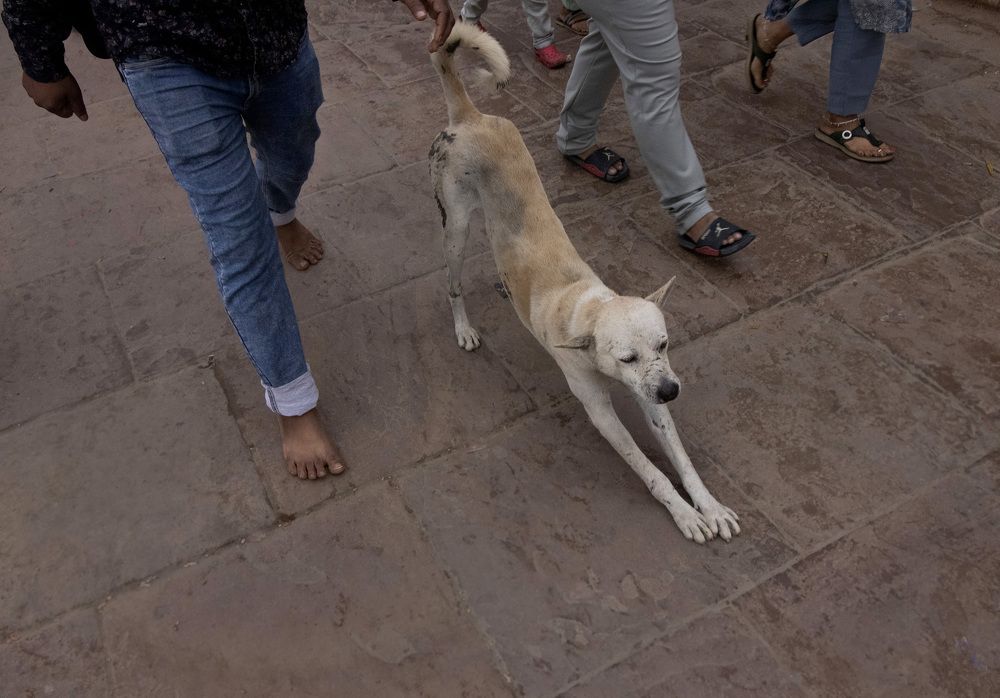 Photograph by Subrata Chatterjee