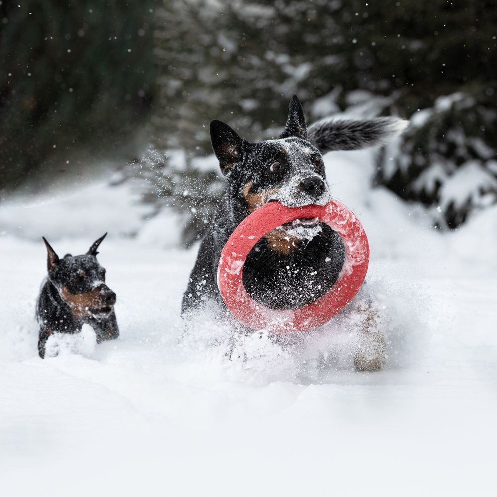 Photograph by Лилия Наконечная