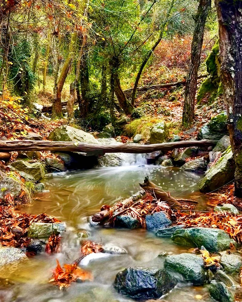 Photograph by Iulian Moldovan