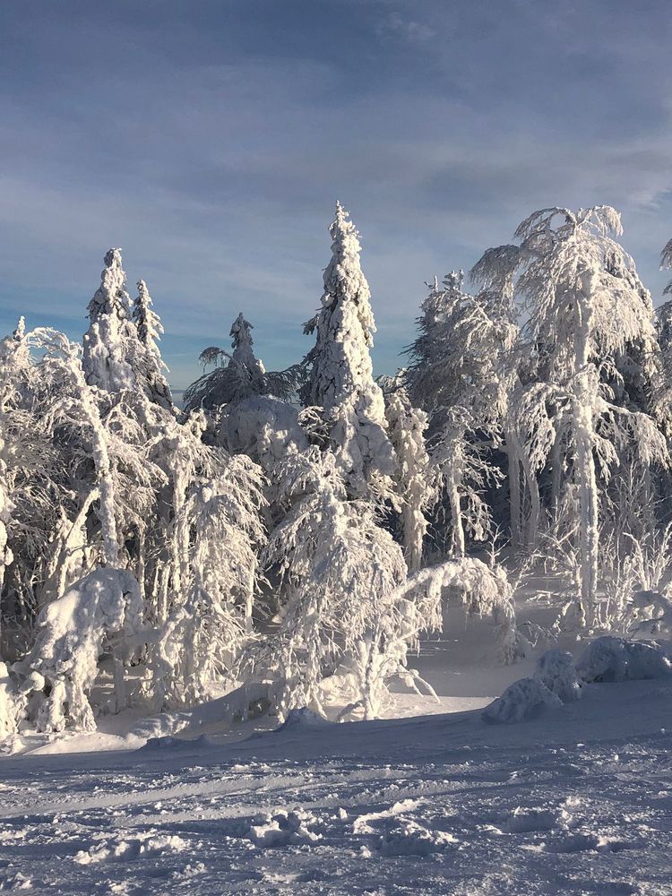 Photograph by Алена Алалыкина