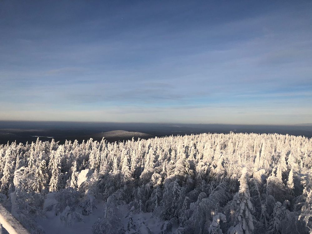 Photograph by Алена Алалыкина