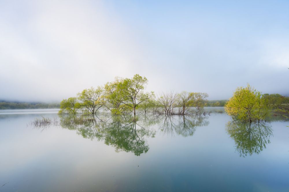 Photograph by Kaneko Atsushi
