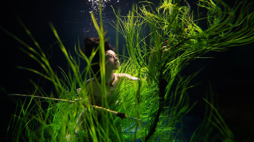 Photograph by Широченко Юрий