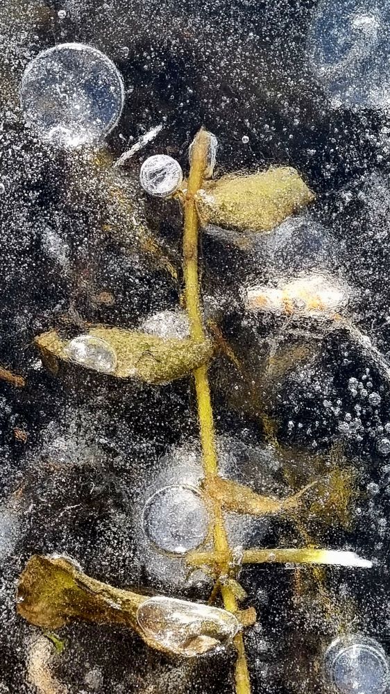 Photograph by Татьяна Устюжанина