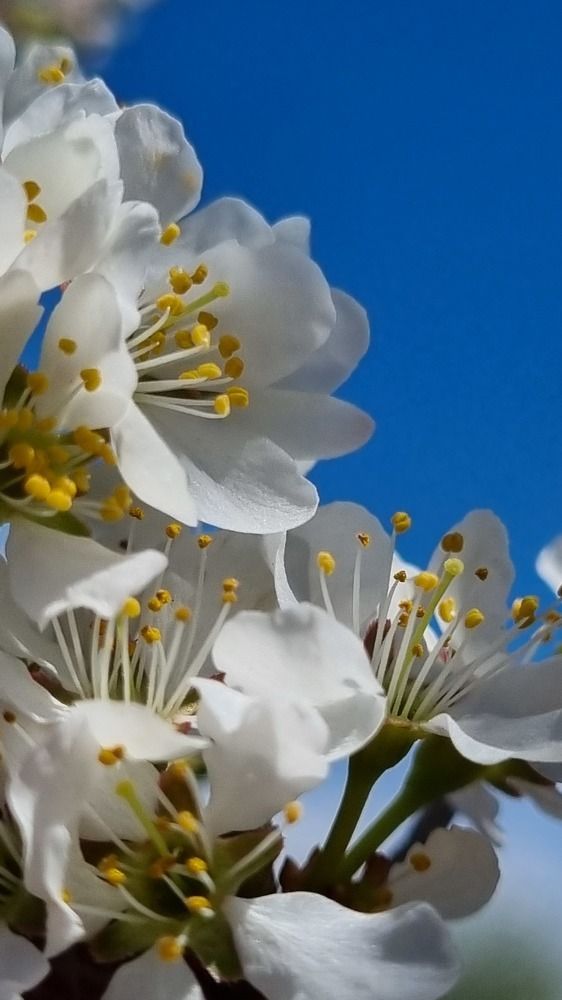 Photograph by Татьяна Устюжанина