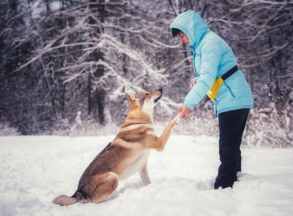 Photograph by Татьяна