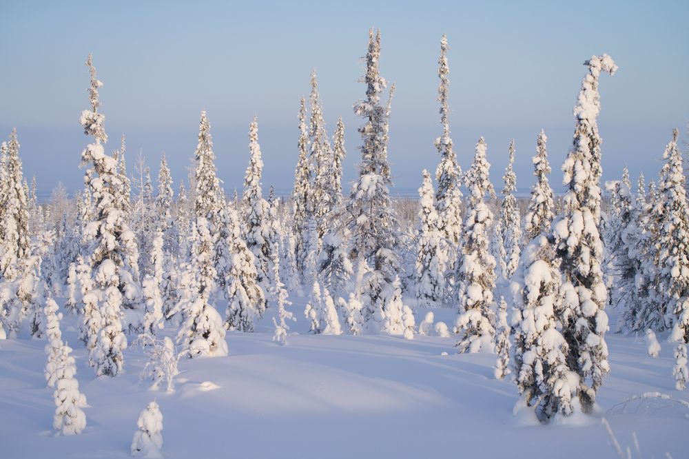 Фотография автора Viktoriya Kim