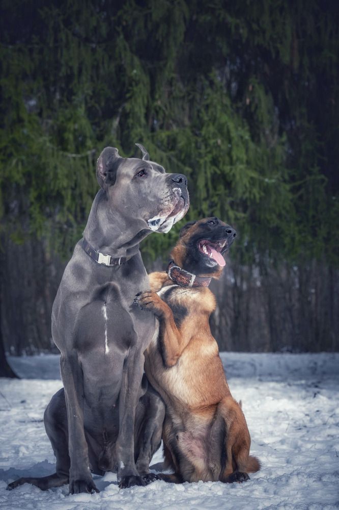 Photograph by Татьяна