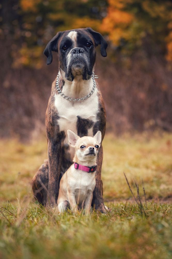 Photograph by Татьяна