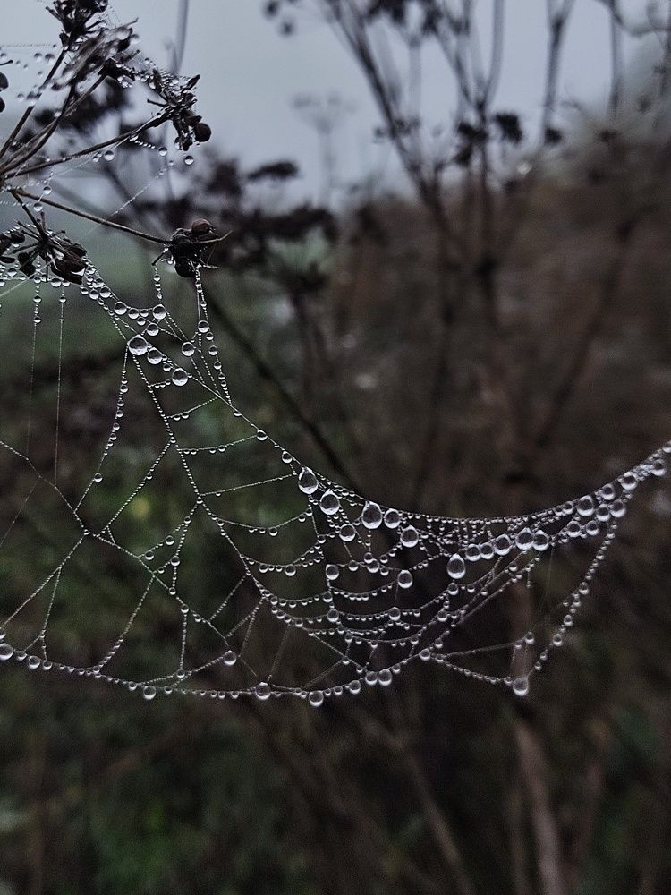 Фотография автора Инга Шевелёва