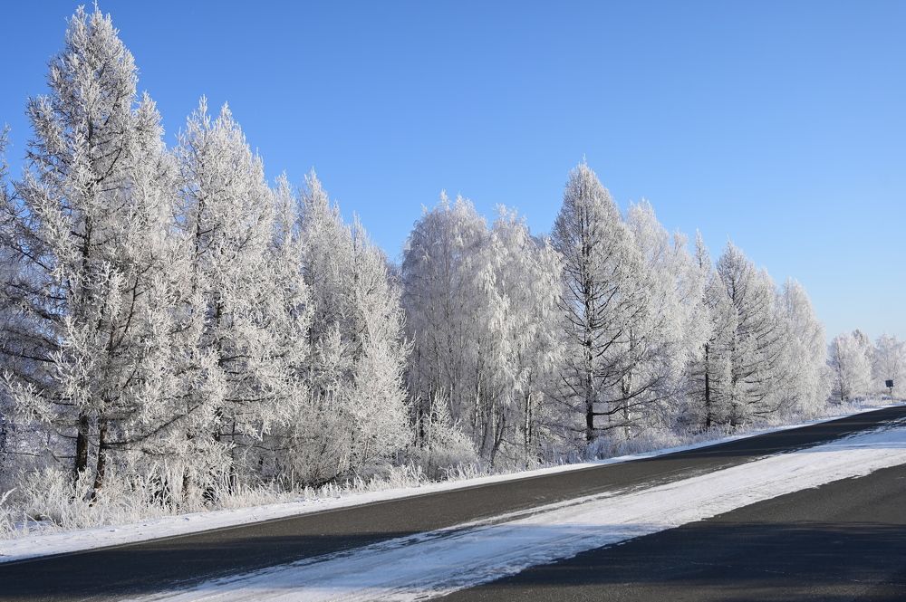 Photograph by Надежда Преминина