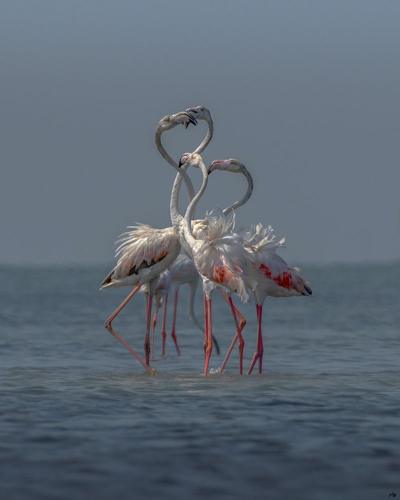 Photograph by Prabhat Ghosh