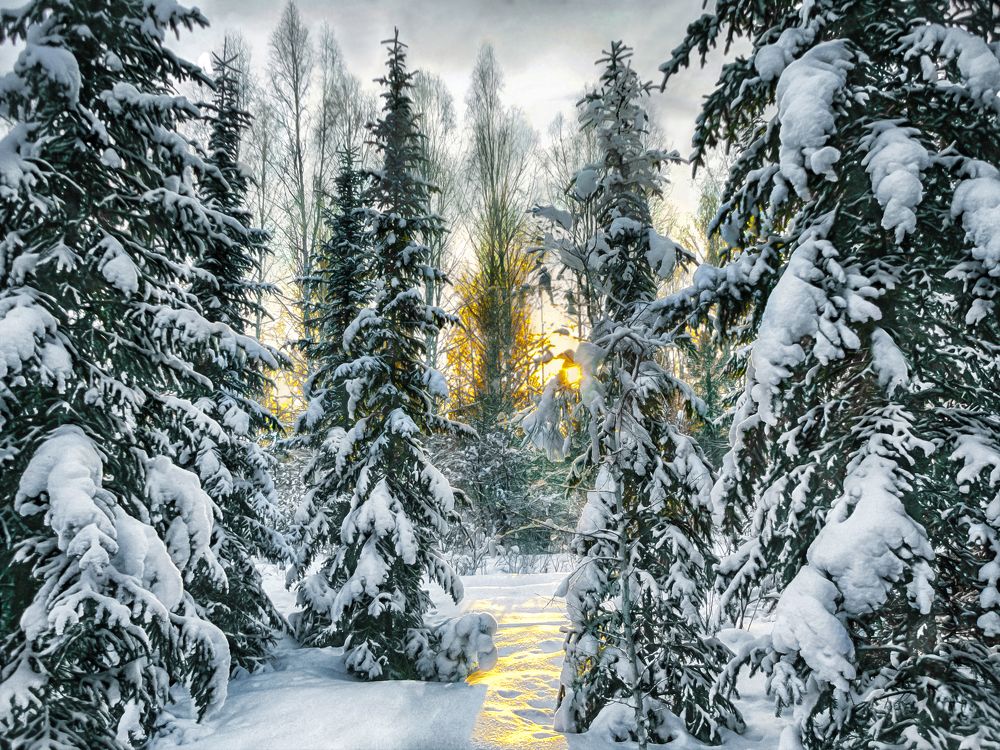 Photograph by Вера Лопатина