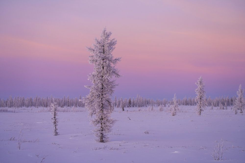 Фотография автора Viktoriya Kim