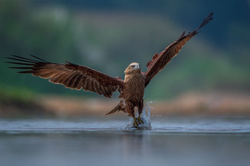 Photograph by Arnold Judson Samuel