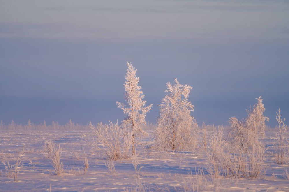 Фотография автора Viktoriya Kim