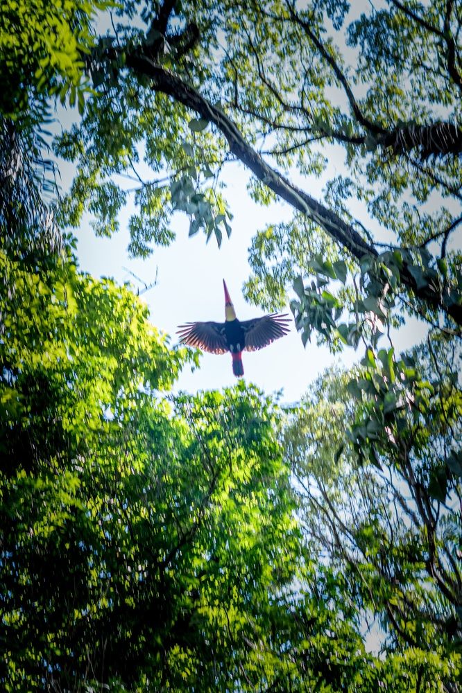 Фотография автора Antonio Etevaldo Rodrigues Junior