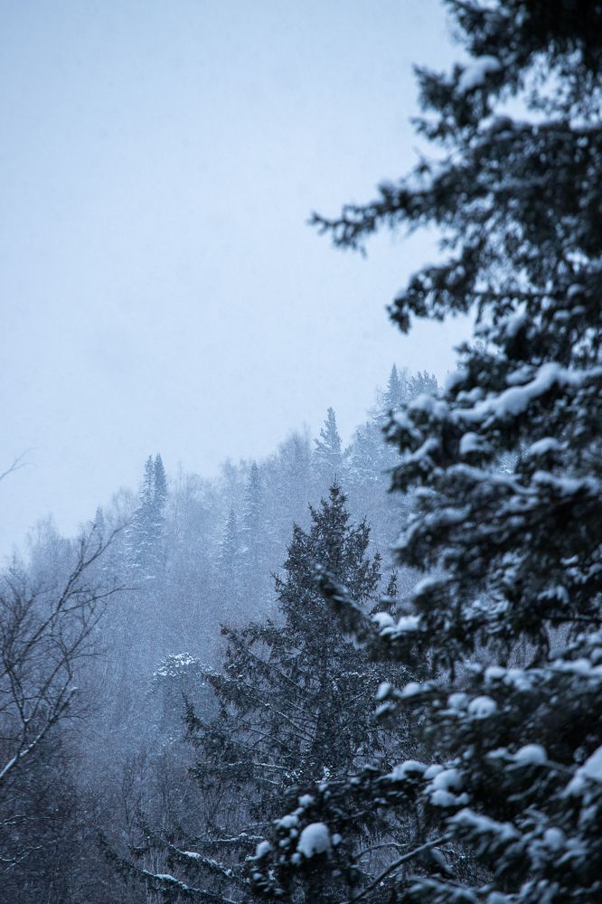 Фотография автора Сергей Третьяков