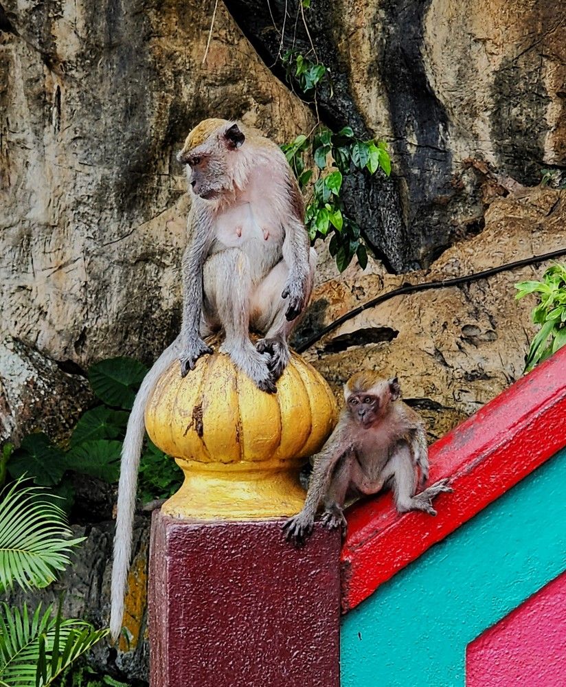 Photograph by G GOVIL