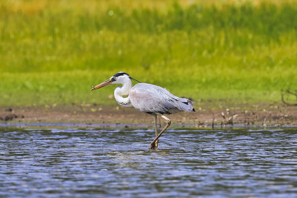 Photograph by Смирнов Александр