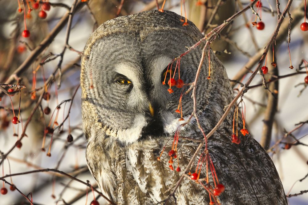 Photograph by Смирнов Александр
