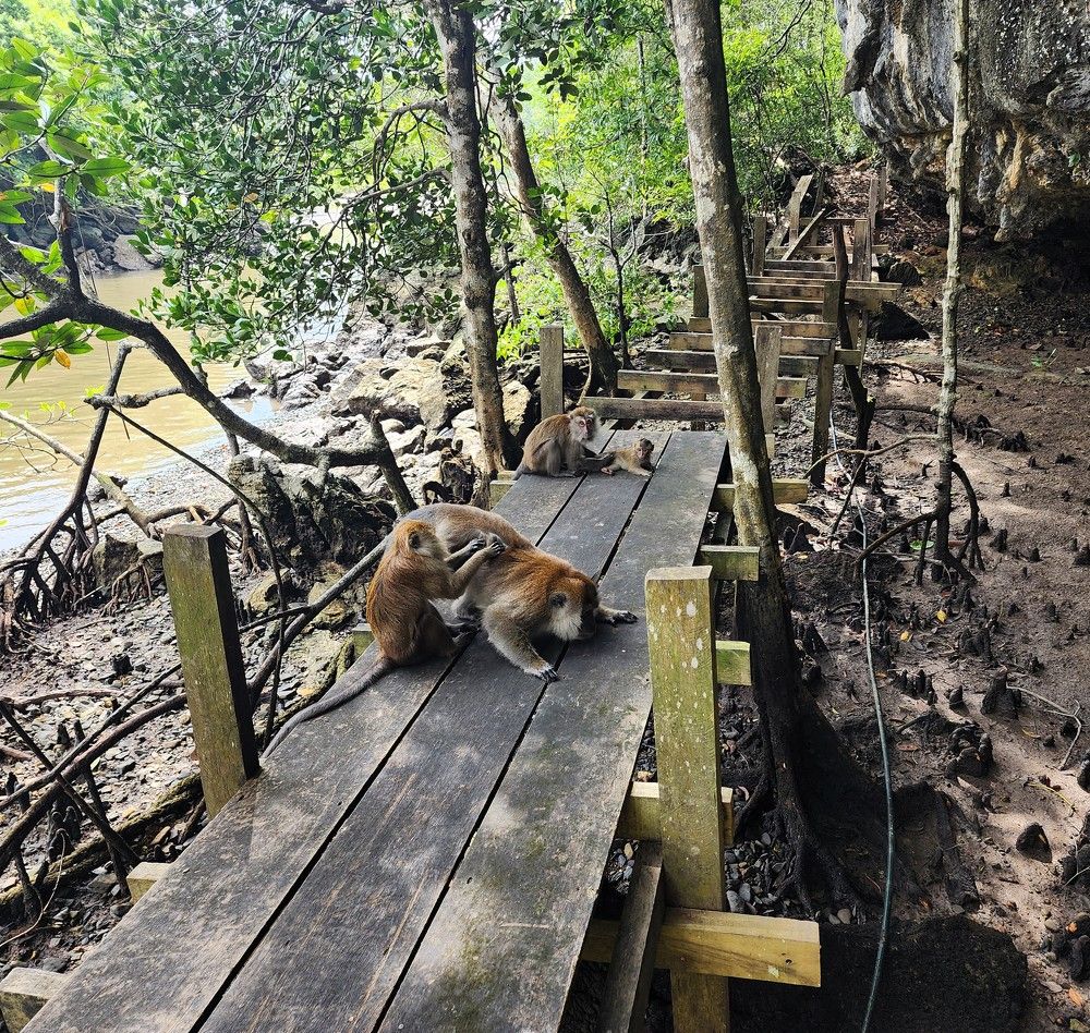 Photograph by G GOVIL