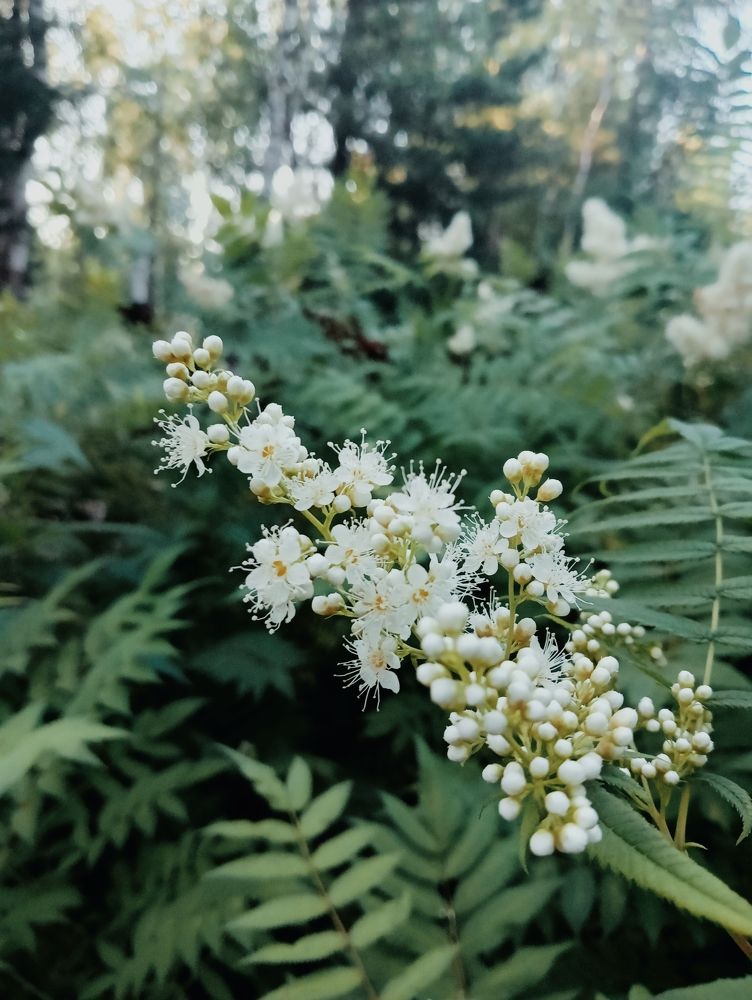 Photograph by Евгения Петрук