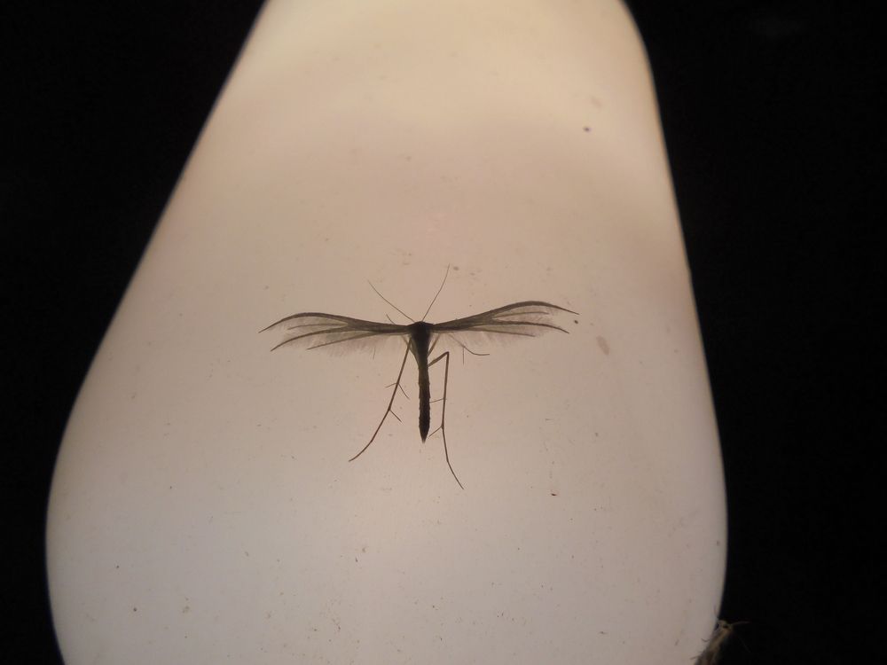 Photograph by Лилия Исхакова