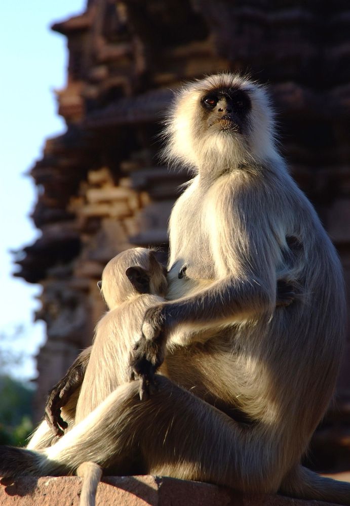 Photograph by Алексей Поляков