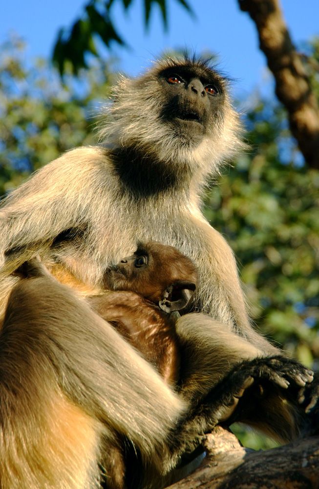 Photograph by Алексей Поляков