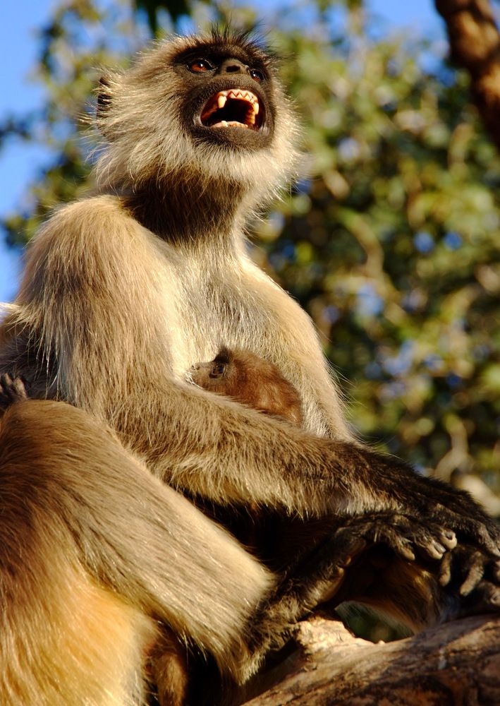 Photograph by Алексей Поляков