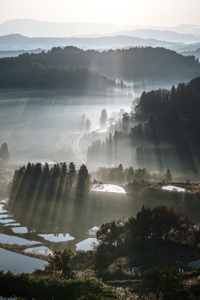 Photograph by 南雲 柊人