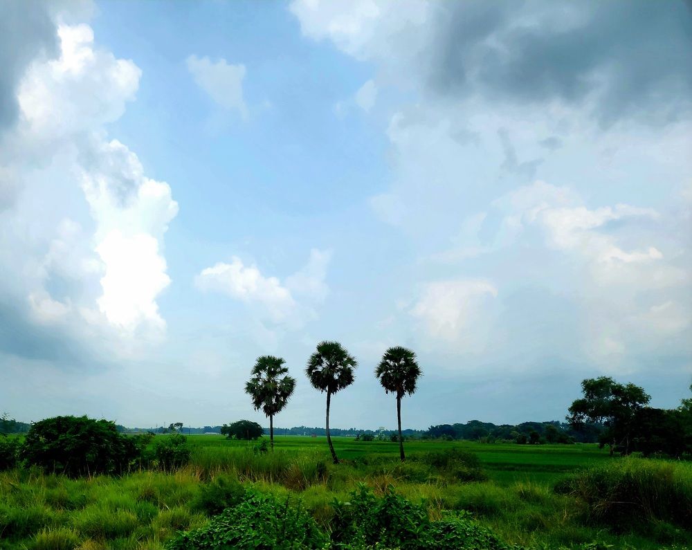 Photograph by G GOVIL